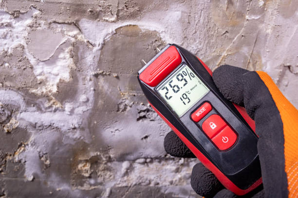 Best Mold Remediation for Specific Building Types in Winters, TX