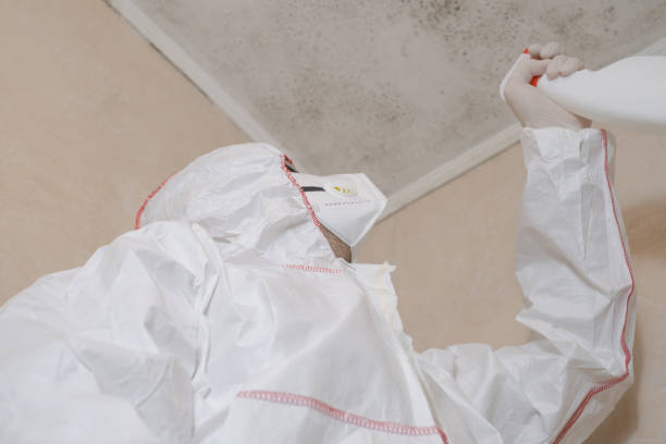 Best Bathroom Mold Remediation in Winters, TX